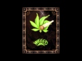 Rasmus Hedegaard [THE NEXT EPISODE] Dr.Dre Snoop doog Smoke weed everyday