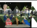 NorthWest Dog Shows