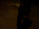 Us walking Along the Park ...Chevys mongo walk :L:L