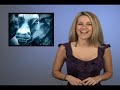 QualityStocks Daily Video 01/18/2008