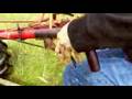 Bucher-tractor race