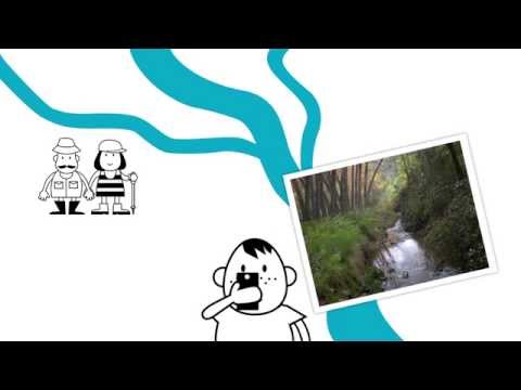 Imagen de previsualización de YouTube