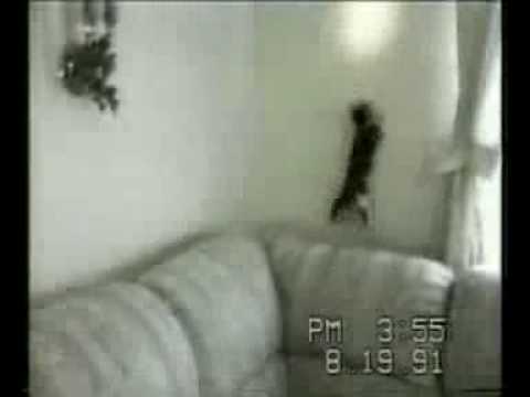 مقاطع فيديوسكس