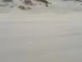 Wind on the Isle of Harris