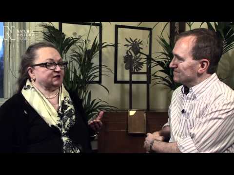 Jean Auel, author of The Earth's Children series, talks to Chris Stringer | Natural History Museum