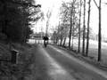 Mhr team 80cc - Last run.