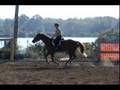Registered QH Jack
