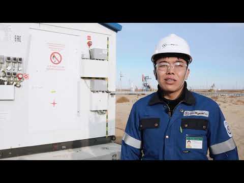 Білікті жас маман