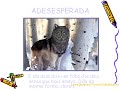 ADE MARIA-01-06-15-51 wmv