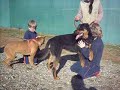 mit Kinder III