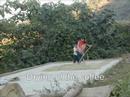 Presentation: Maya Vinic (english)