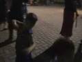 videos de Dandiya Nite '08 Part 3