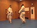 Ippon seionage - Mario & Rich