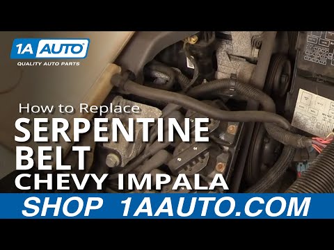 How To Install Repair Replace Serpentine Engine Belt Chevy Impala 3800 00-05 1AAuto.com