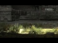 Tokyo Game Show 2009 The Last Guardian