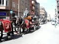 Els Tres Tombs 2007 Els Tres Tombs 2007