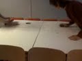 Air Hockey alla succursale del liceo Rodolico