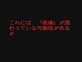 ポケモン世界のちょっと怖い話