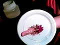 Maquiagem de terror Slug, dedo amputado