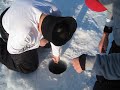 Great Video of Walleye catch.mov