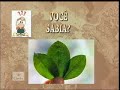 Caminhos - 5.05 - parte 02