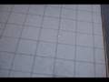 Plumbing Song - Weird Al Music Video