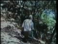El Lobo Ibérico - Carlos Sanz (La Aventura del saber - Tve)