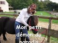 lamontecline.skyblog.com vous pr�sente son ptiit poney d'amour