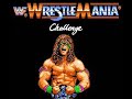 mr generic pompadour wrestler wipes out the competition and becomes the new wwf champion. they were no match for his special finishing move, the flying dropkick. it sails halfway across the ring. some notes: -played on a fceux emulator -no cheats or savestates were used -played at full speed