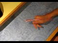 Penzone Cup Clip 00015