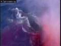 Whaling Video