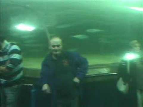 Diving Deep Sea World