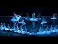 Tchaikovsky: Swan Lake (Opus Arte)