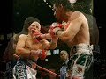 cotto v margarito (11th round knockdowns)
