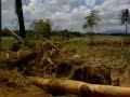 Typhoon Frank - Duenas after Typhoon Frank (fengshen) Typhoon Frank - Duenas after Typhoon Frank (fengshen)
