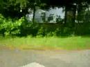guess!