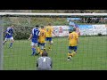 1. FC Merzalben Tore 1