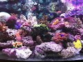 Marine Tank 12