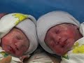 Identical Twins