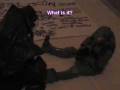 videos de arby n the chief episode two recon 