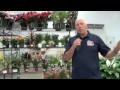 Click here to watch this video Mayesh's Riverside Branch