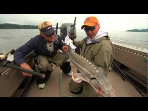 Addictive Fishing - The Bucklet List