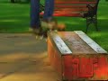10 Tricks W/ Cory mansour