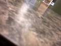 dentures.wmv