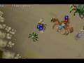 Team Zerker KQ Guide