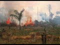Carlo Petrini: cibo terra e ambiente /1