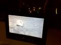 TV-DX-Sozopol-SE-Bul