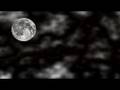 Sanatan Dharm net Darshan Promo: Guru Purnima