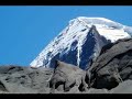 Kailash Yatra - Holy Mount Kailash Kailash Yatra - Holy Mount Kailash