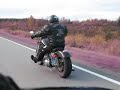 Roadwolf on the run...